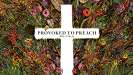 Provoked to Preach