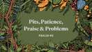 Pits, Patience and Problems