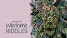 Wisdom's Riddles